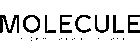 Molecule