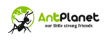 Antplanet