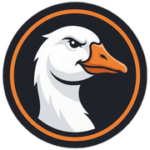 Скидка на заказ Csgoose
