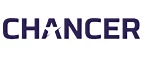 Промокод на покупку CHANCER